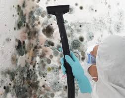 Why You Should Choose Our Mold Remediation Services in Sycamore, GA